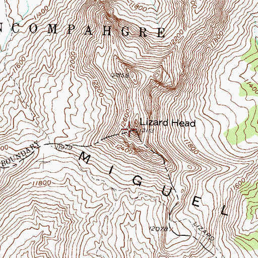 Topographic Map of Lizard Head, CO