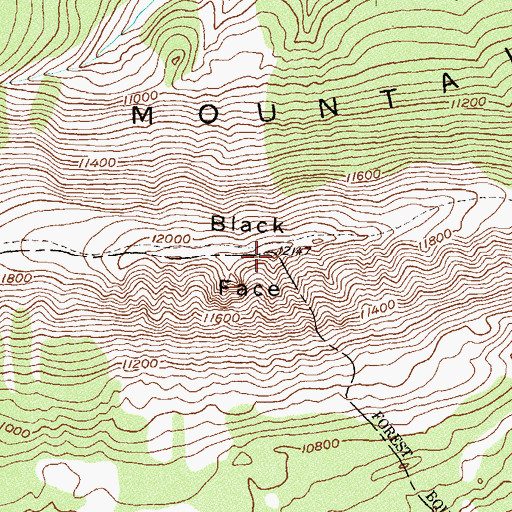 Topographic Map of Black Face, CO
