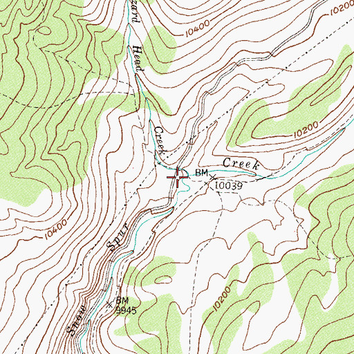 Topographic Map of Lizard Head Creek, CO