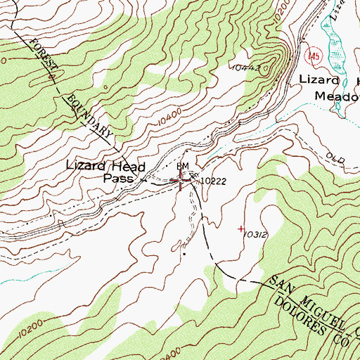 Topographic Map of Lizard Head Pass, CO