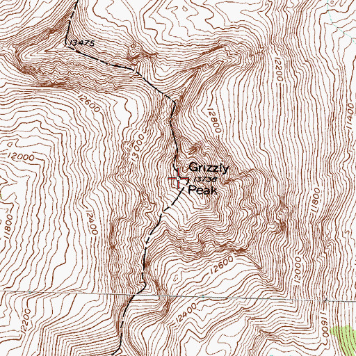 Topographic Map of Grizzly Peak, CO