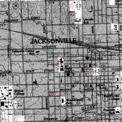Topographic Map of Newton Bateman Memorial High School (historical), IL