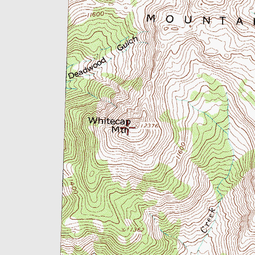 Topographic Map of Whitecap Mountain, CO