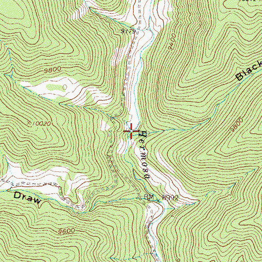 Topographic Map of Black Canyon, CO