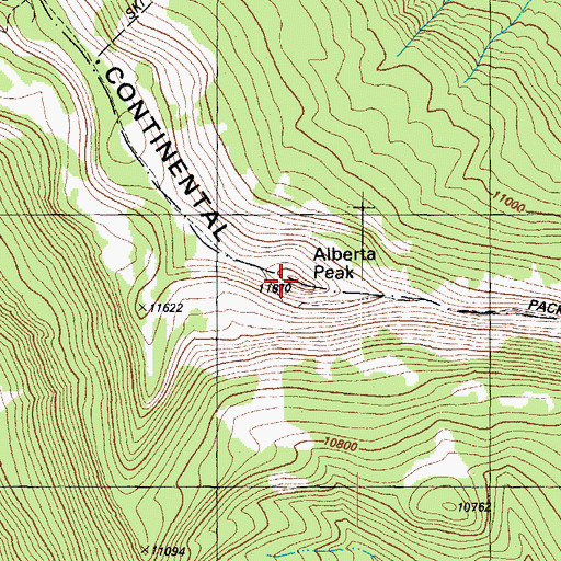 Topographic Map of Alberta Peak, CO