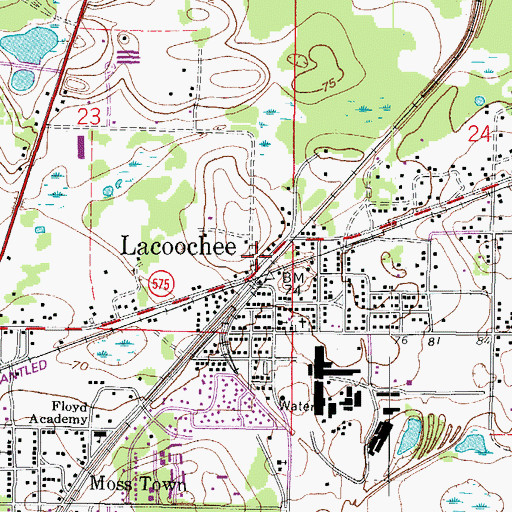 Topographic Map of Lacoochee Post Office, FL