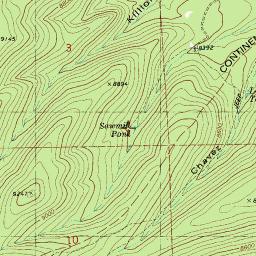 Topographic Map of Sawmill Pond, NM