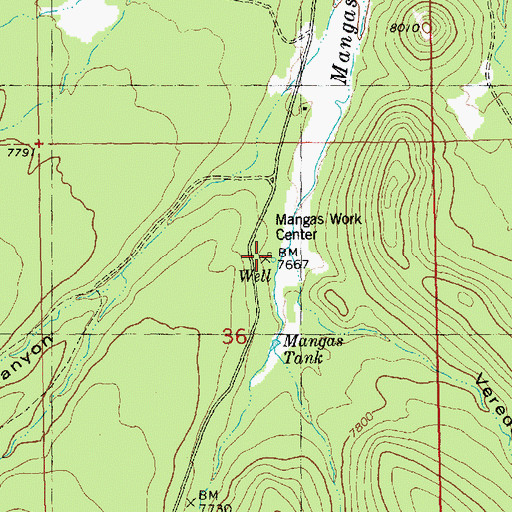 Topographic Map of Mangas Work Center, NM