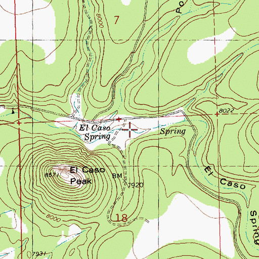 Topographic Map of El Caso Spring Canyon, NM