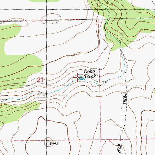 Topographic Map of Lobo Tank, NM