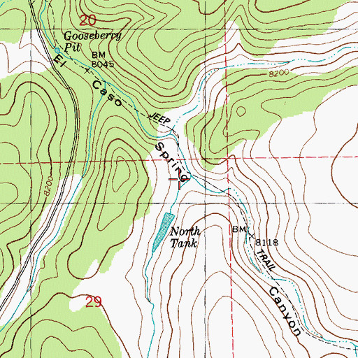 Topographic Map of Salvador Canyon, NM