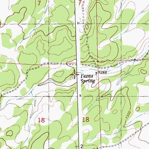Topographic Map of Texas Spring, NM