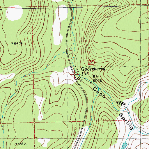 Topographic Map of Gooseberry Pit, NM