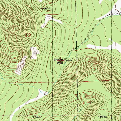Topographic Map of Erman Well, NM