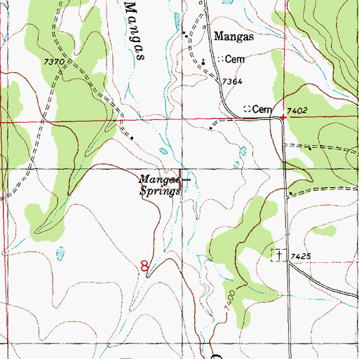 Topographic Map of Mangas Springs, NM