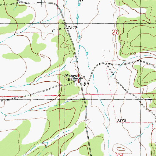 Topographic Map of Mangas Ranch, NM
