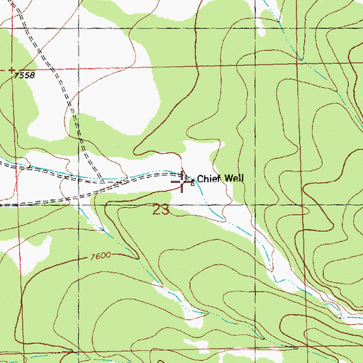 Topographic Map of Chief Well, NM