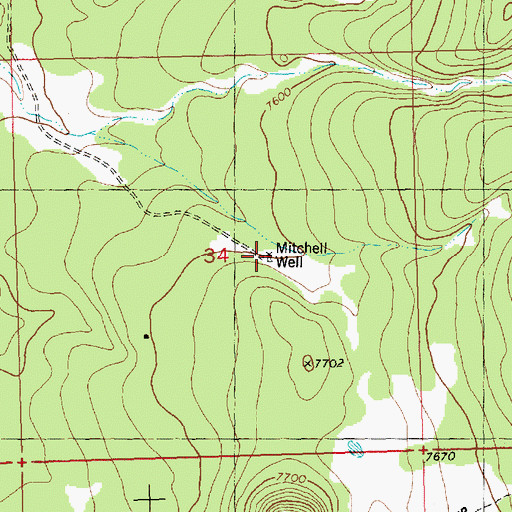 Topographic Map of Mitchell Well, NM