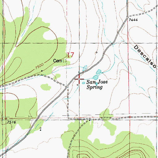 Topographic Map of San Jose Spring, NM
