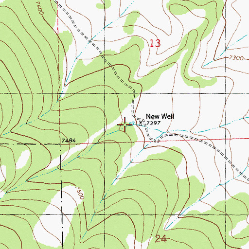 Topographic Map of New Well, NM