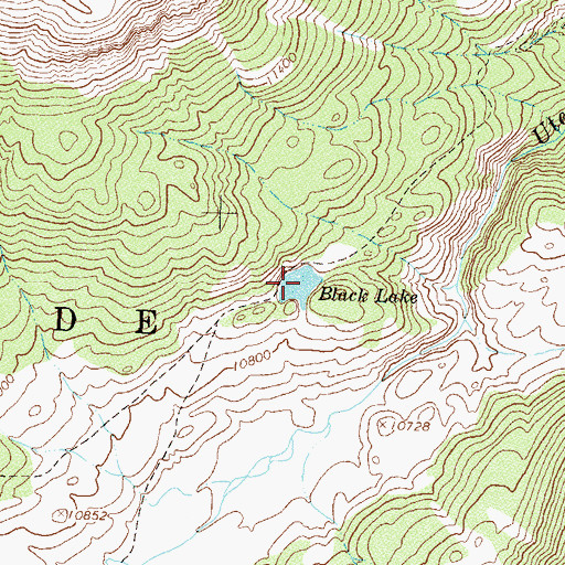 Topographic Map of Black Lake, CO
