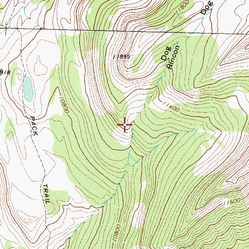 Topographic Map of Dog Rincon, CO
