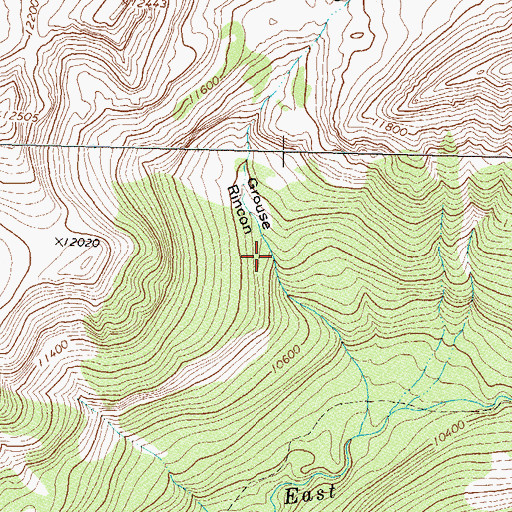 Topographic Map of Grouse Rincon, CO