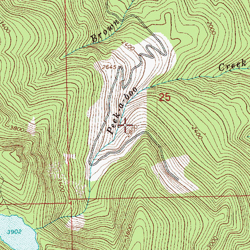 Topographic Map of Mount Baker National Forest, WA