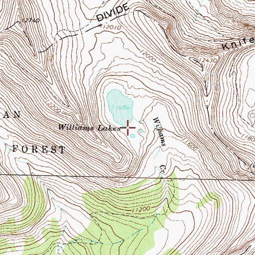 Topographic Map of Williams Lakes, CO