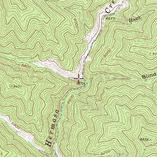Topographic Map of Corral Draw, CO