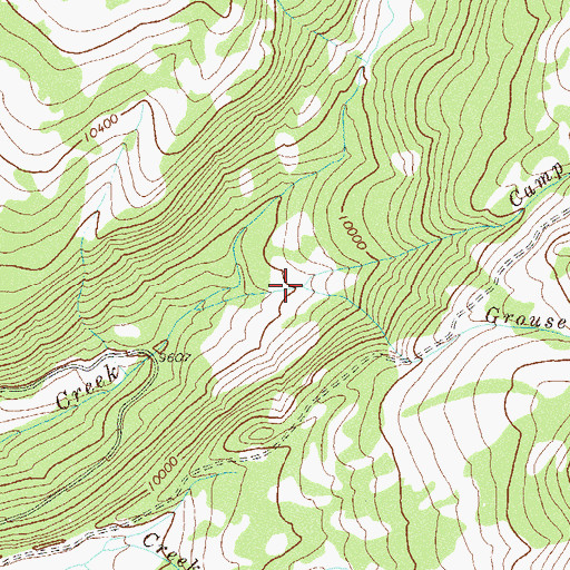 Topographic Map of Grouse Creek, CO