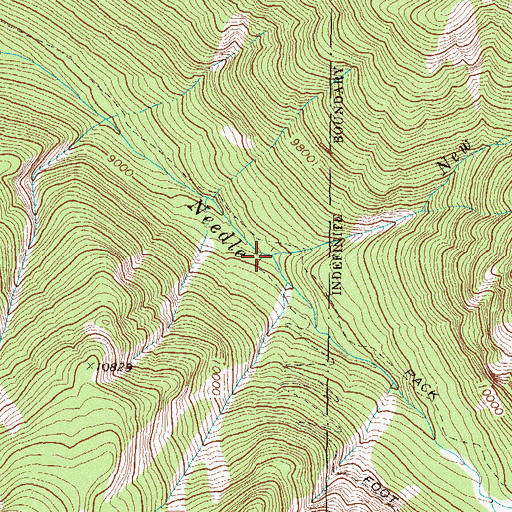 Topographic Map of New York Creek, CO