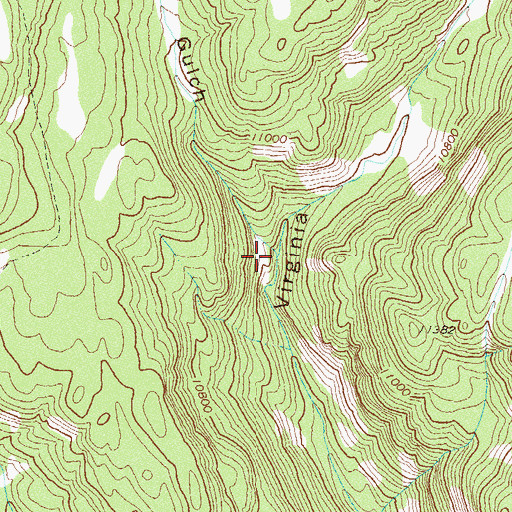 Topographic Map of West Virginia Gulch, CO