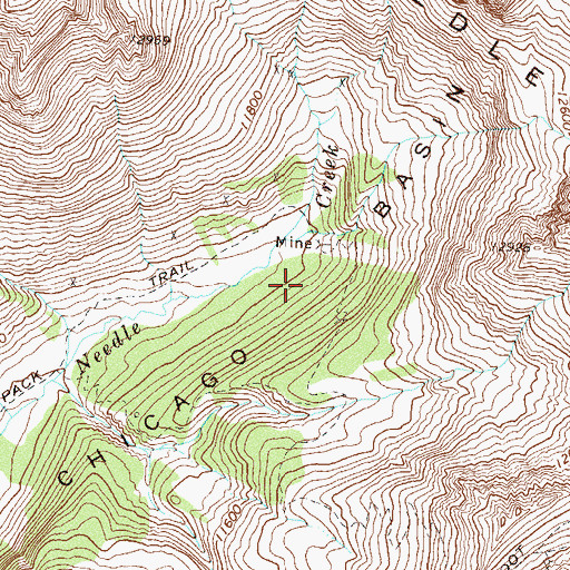 Topographic Map of Chicago Basin, CO