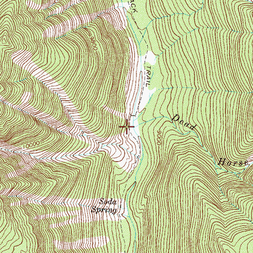 Topographic Map of Dead Horse Creek, CO