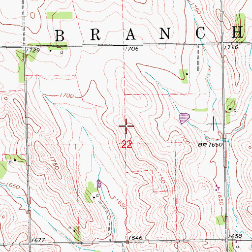 Topographic Map of Township of Spring Branch, NE