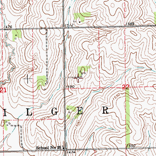 Topographic Map of Township of Pilger, NE