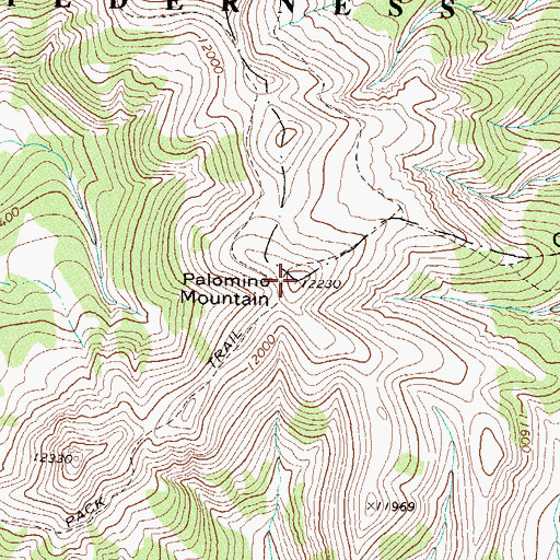 Topographic Map of Palomino Mountain, CO