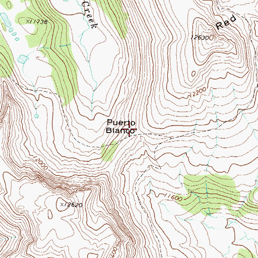 Topographic Map of Puerto Blanco, CO