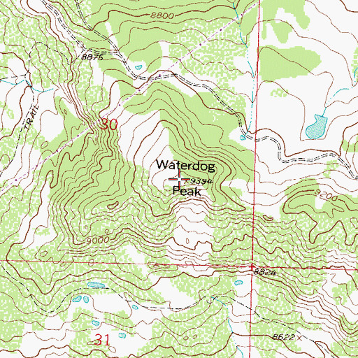 Topographic Map of Waterdog Peak, CO