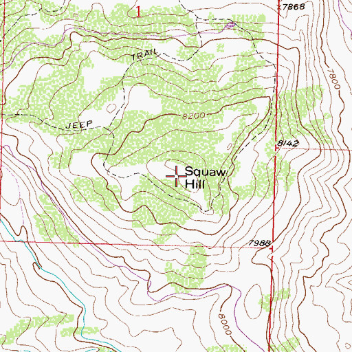 Topographic Map of Squaw Hill, CO