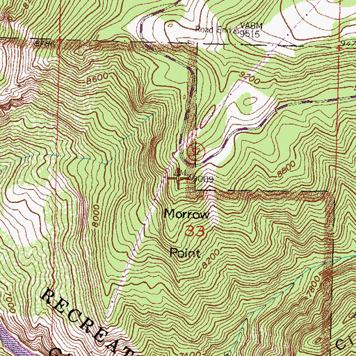 Topographic Map of Morrow Point, CO