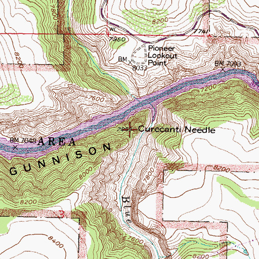 Topographic Map of Curecanti Needle, CO
