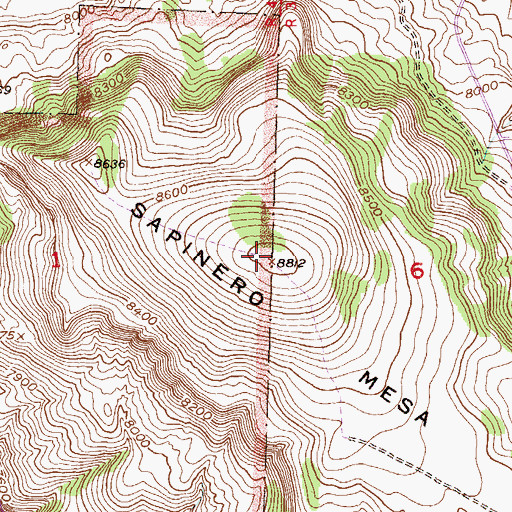 Topographic Map of Sapinero Mesa, CO