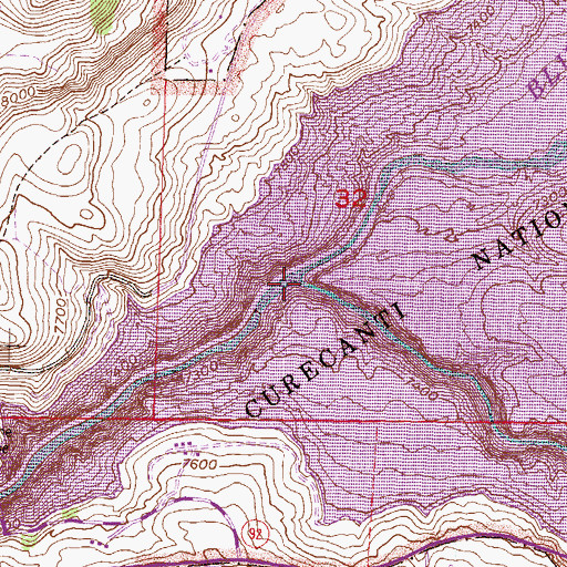 Topographic Map of Lake Fork, CO