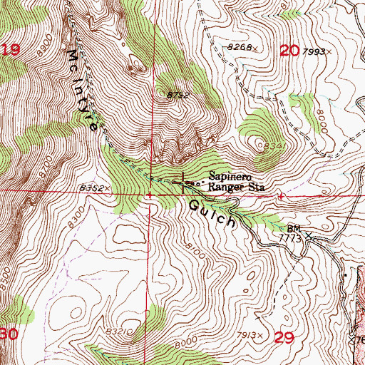 Topographic Map of Sapinero Ranger Station, CO