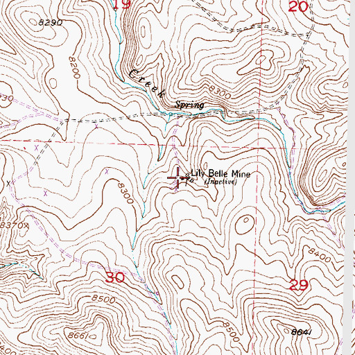 Topographic Map of Lily Belle Mine, CO