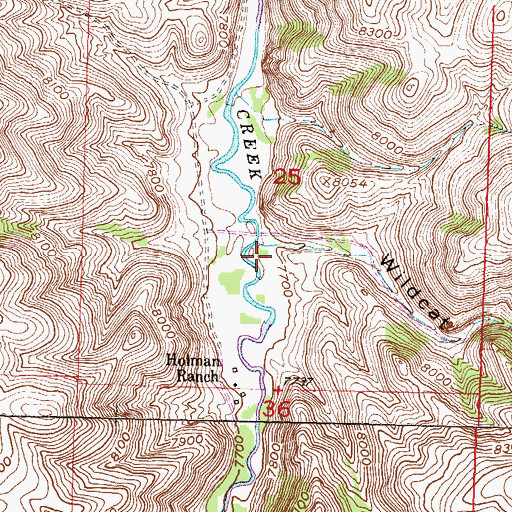 Topographic Map of Wildcat Gulch, CO