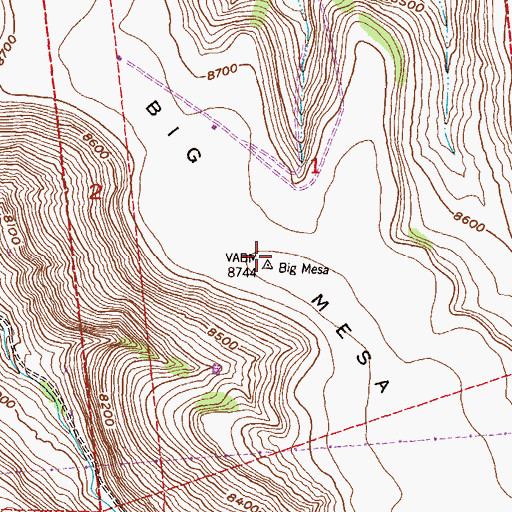 Topographic Map of Big Mesa, CO