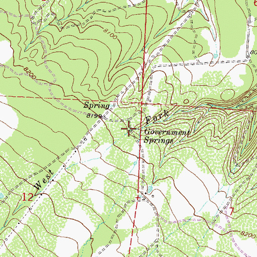 Topographic Map of Government Springs, CO